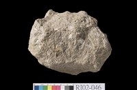 藏品(矽化安山岩)的圖片